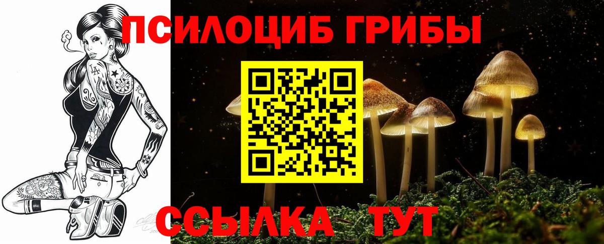 Галлюциногенные грибы GOLDEN TEACHER Гуково
