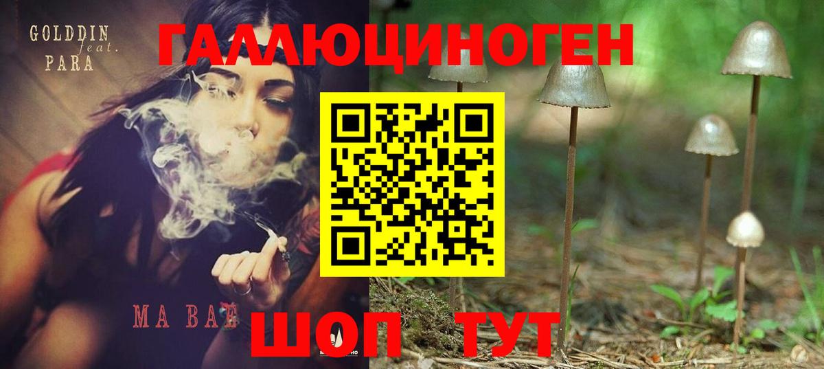 Гуково  Псилоцибиновые грибы Psilocybine cubensis  Вход с VPN  Галлюциногенные грибы Psilocybe 